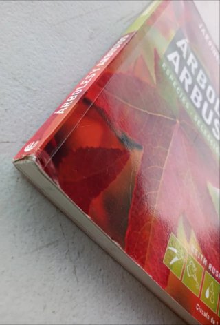 Arboles y arbustos.