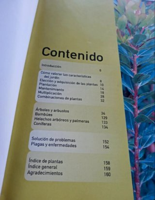 Arboles y arbustos.