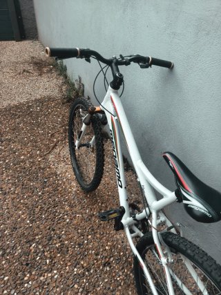Bicicleta megamo
