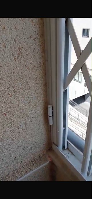 Puerta de seguridad reja extensible