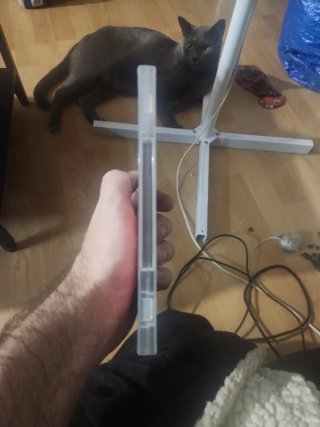 Cult of the Lamb Nintendo Switch