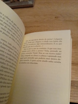O día que choveron gatos
