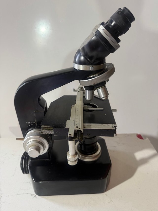 Microscopio Nikon Profesional Vintage