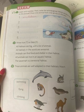 Libro ciencias en ingles. Natural science 2 primar