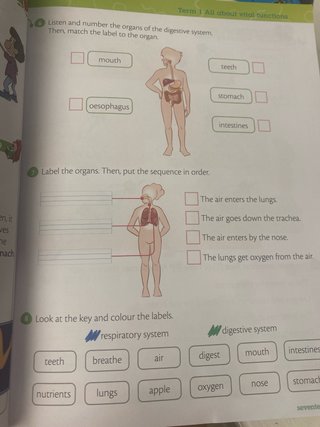 Libro ciencias en ingles. Natural science 2 primar
