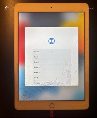iPad Air (2014) Blanco