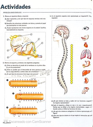 Libro de Anatomía en muy buen estado.