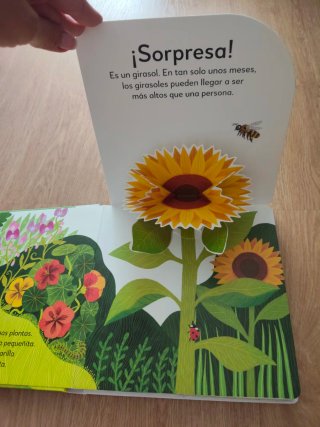 Precioso cuento pop Up ¡sorpresa! entre las flores