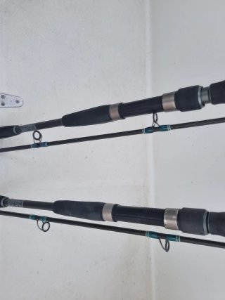 2 cañas de pesca para embarcación