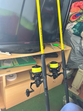 Cañas de pesca para siluro