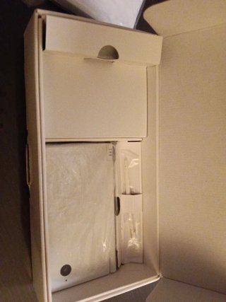 Nintendo DSi Beige