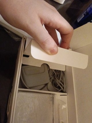 Nintendo DSi Beige