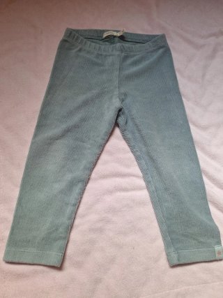 Lote 5 Pantalones Niña Sfera t. 18-24