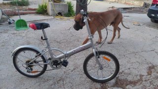 Bicicleta Plegable Plata