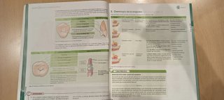 Técnicas de ayuda odontológica y estomatológica