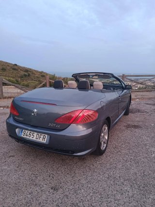 Peugeot 307 2005