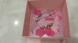 Pulsera Pandora Acero con Dijes...