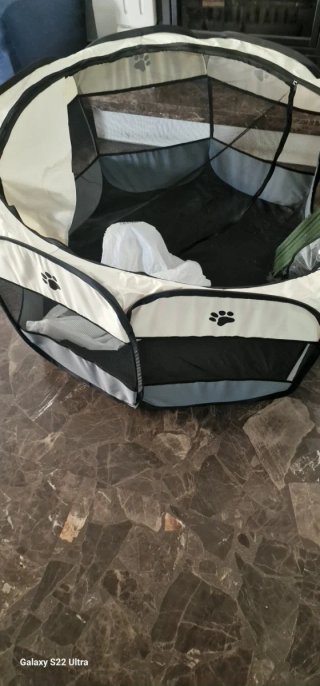 Andador con asiento y cesta