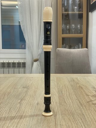 Flauta dulce negra Fizeau