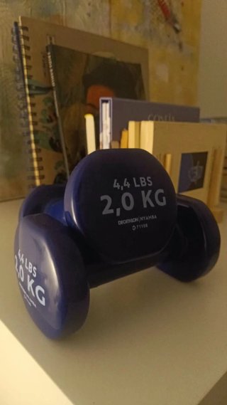 Mancuernas Decathlon 2kg (4.4 LBS)