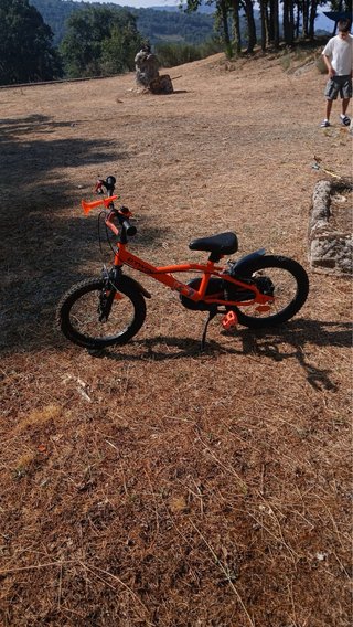 Bicicleta infantil naranja