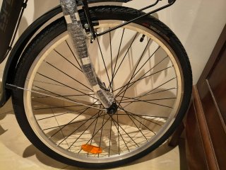 Bicicletta Elettrica ESPERIA Nuova