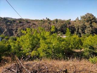 Terreno rustico con estudio en coin