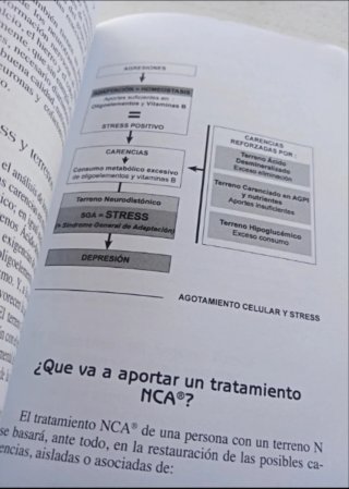 Entender la Nutrición celular activa.