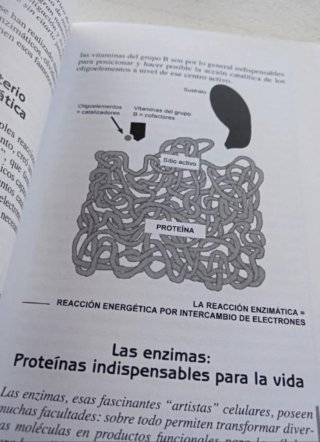 Entender la Nutrición celular activa.