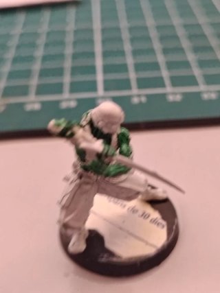 Oniwaban Yu Jing Monofilament CCW Infinity