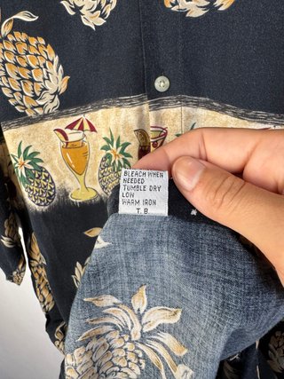 Camisa Vintage Pierre Cardin Piñas
