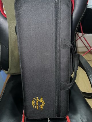 Trompeta plateada con funda