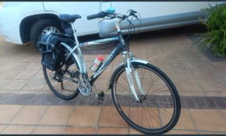 Bicicleta de paseo BUMPERTREE