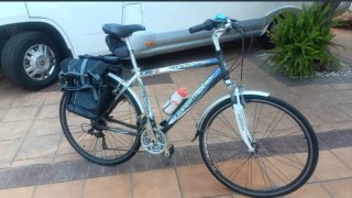 Bicicleta de paseo BUMPERTREE