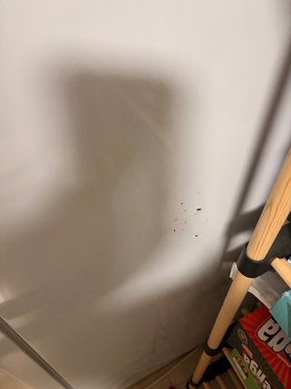 Campana extractora blanca y frigorífico 2 puertas
