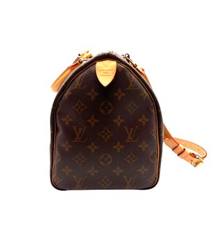 Louis Vuitton Speedy 30 Monogram