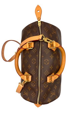 Louis Vuitton Speedy 30 Monogram