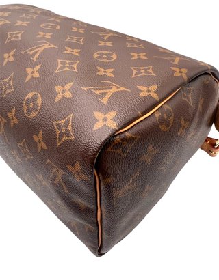Louis Vuitton Speedy 30 Monogram