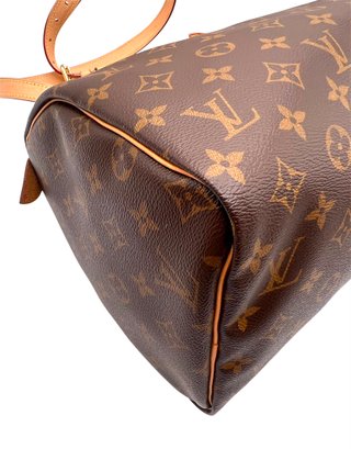 Louis Vuitton Speedy 30 Monogram