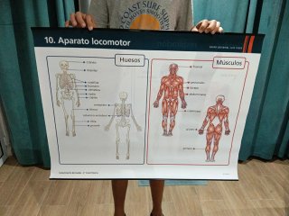 Mapa físico de España y más temas. Póster Educativ