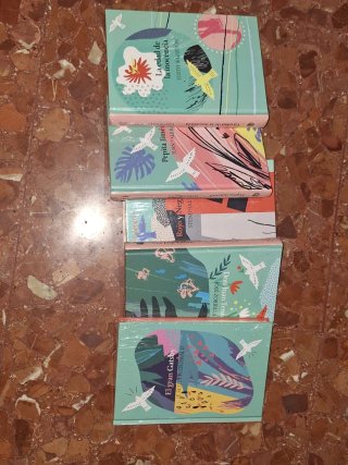 Lote 5 Libros Clásicos (Español)
