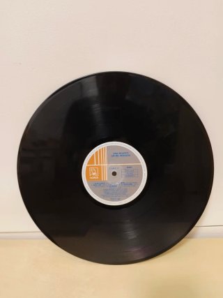Vinilo Ana Reverte - En mil pedazos
