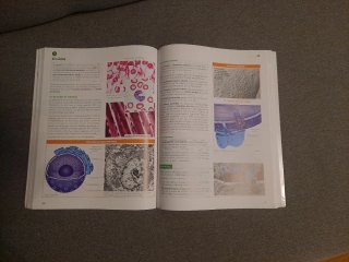 Libro Biología 2⁰ bachillerato  anaya