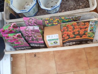 Kit jardinería: abono, tiestos, hidropónico