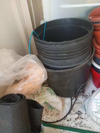 Kit jardinería: abono, tiestos, hidropónico