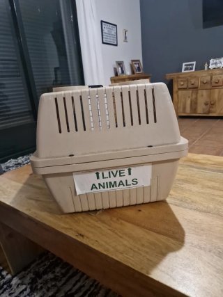 Transportín Perro