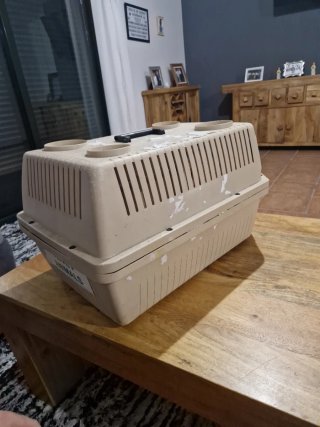Transportín Perro