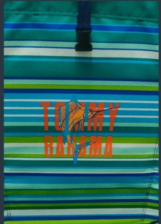 Sillas Tommy Bahama Rayas