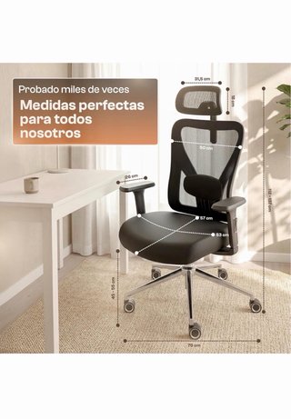 Silla Oficina Ergonómica Escritorio Negra/Gris