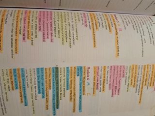 Libro de inglés de 2 de la eso